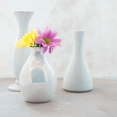 eCommerce photo flower vase
